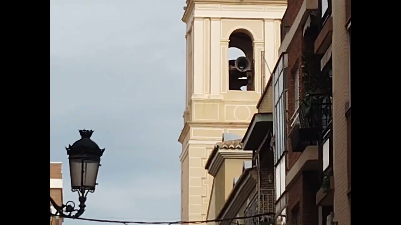 Volteo general de campanas por la bendición de los animales de San Antonio Abad en Paiporta