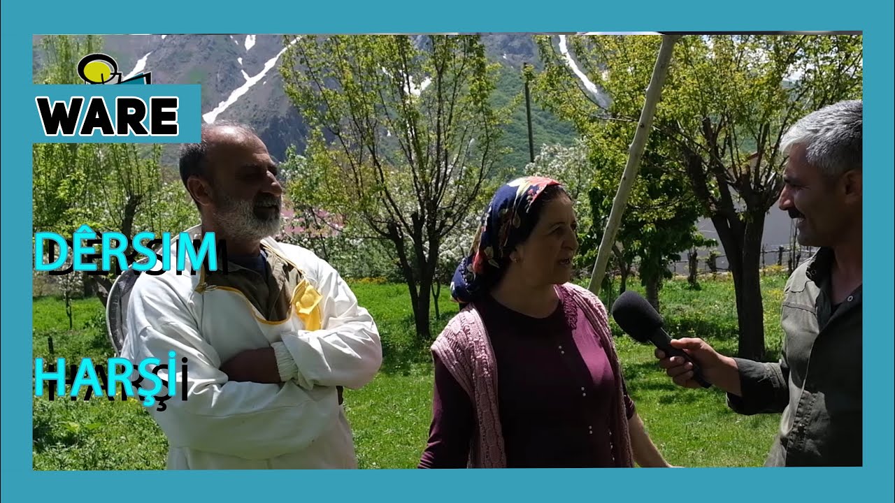 WARE - DÊRSIM / HARŞİ