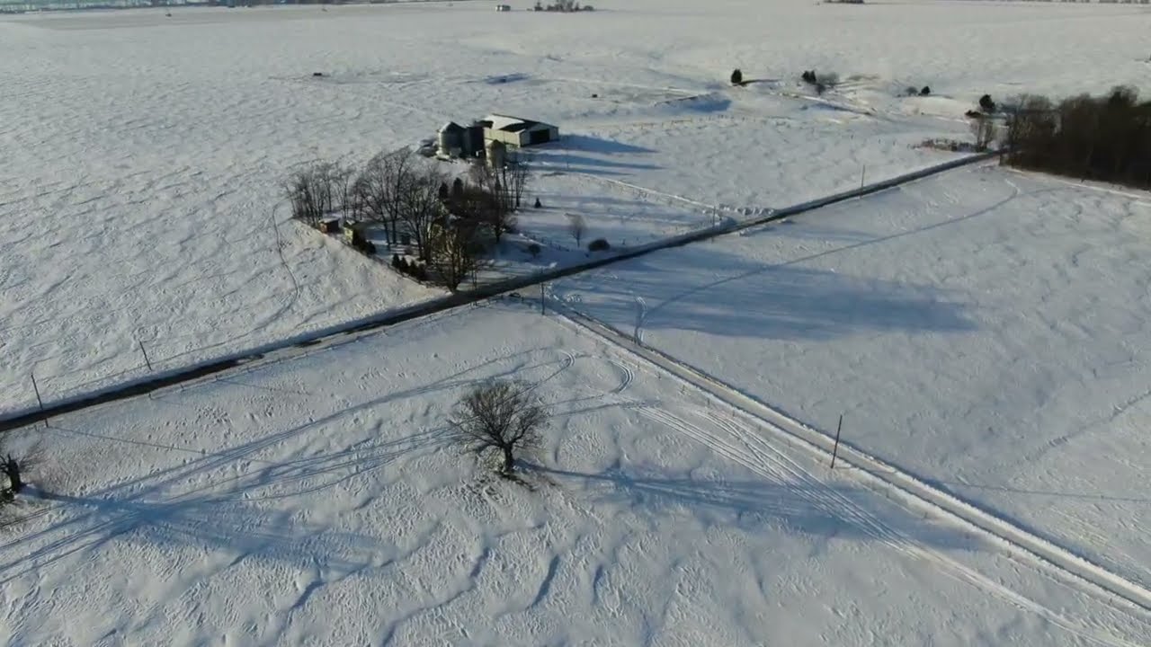 Tracks in our Fields !!!!! Who's been out there?