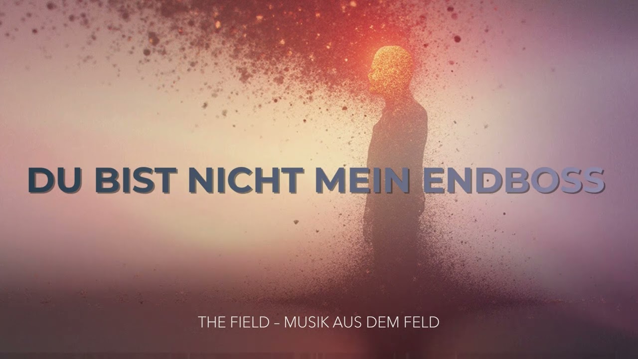 DU BIST NICHT MEIN ENDBOSS // THE FIELD