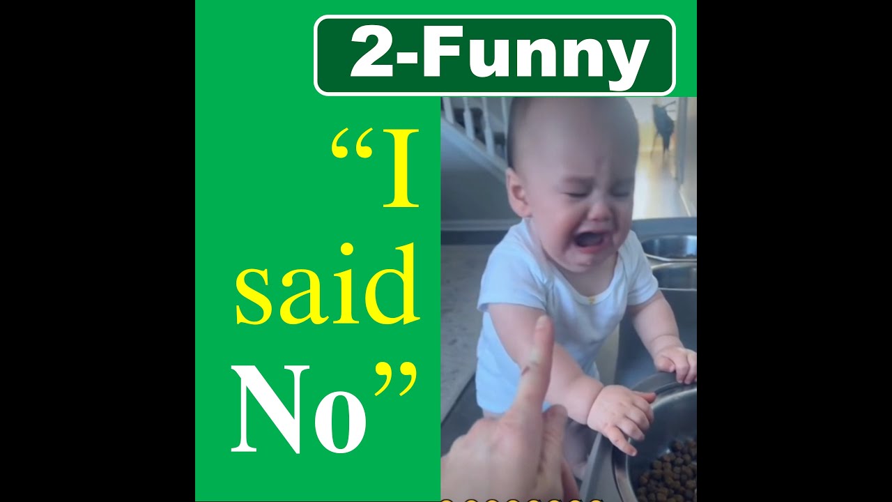 2 Funny Video    #2
