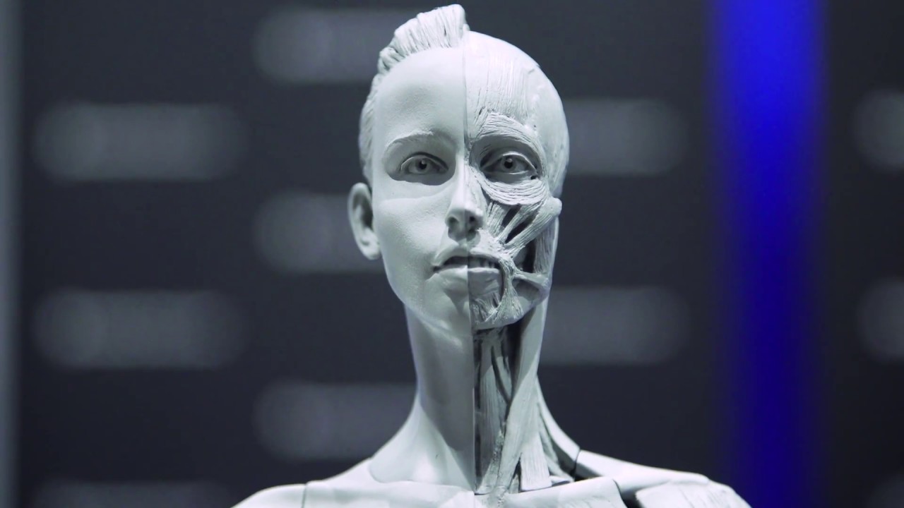 Anatomy Tools' Sculpting Reference Maquettes