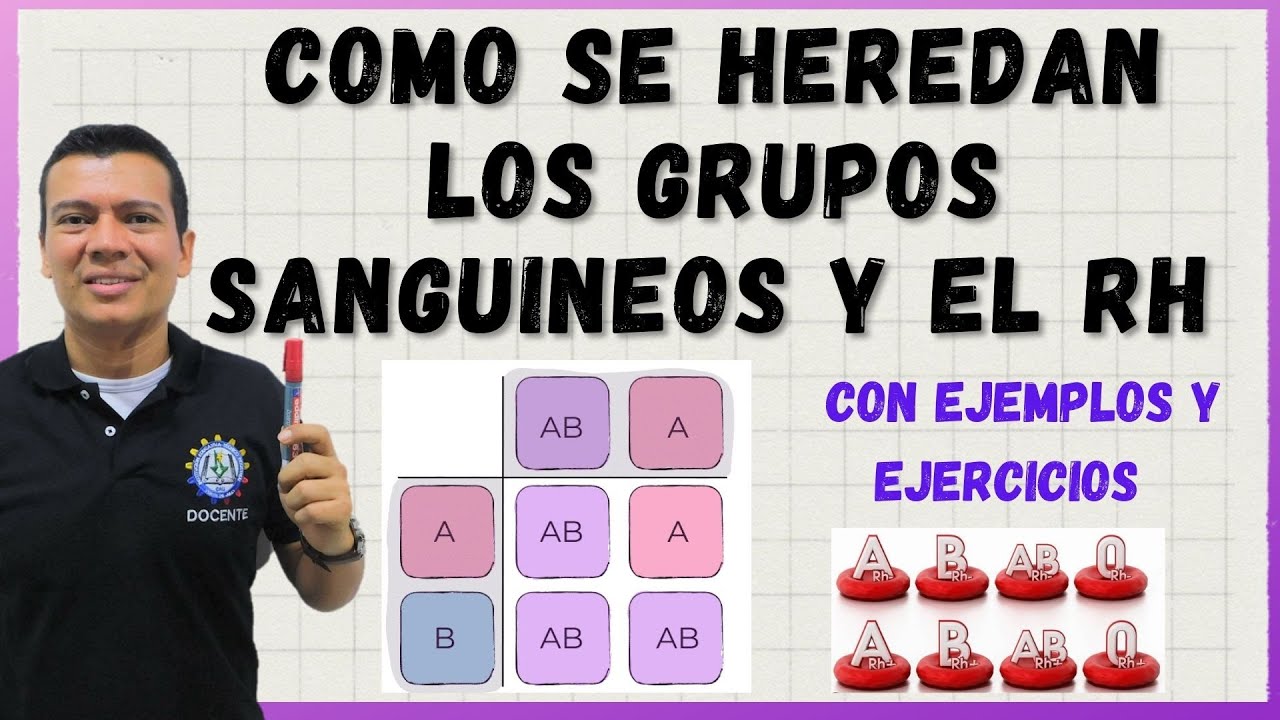 COMO SE HEREDAN LOS GRUPOS SANGUÍNEOS. FACTOR RH. Con ejercicios y ejemplos