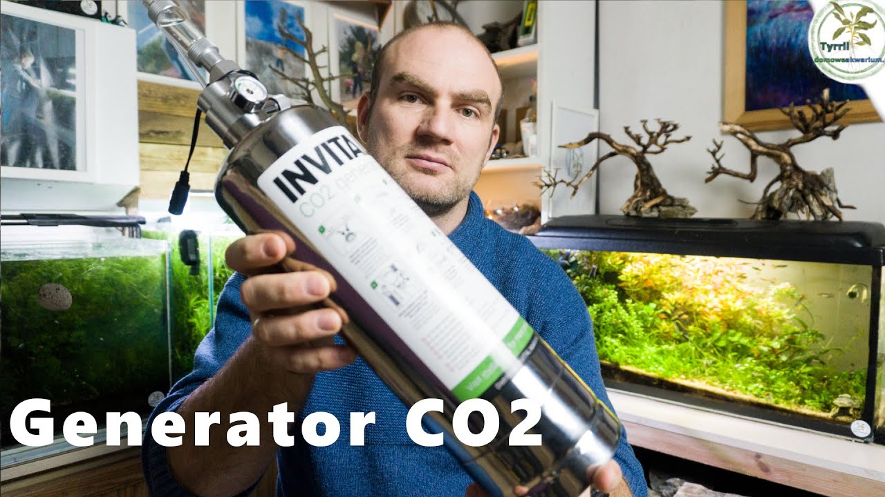 Nowoczesna bimbrownia 💡 CO2 w akwarium 🌿 #akwarium #co2 #generator