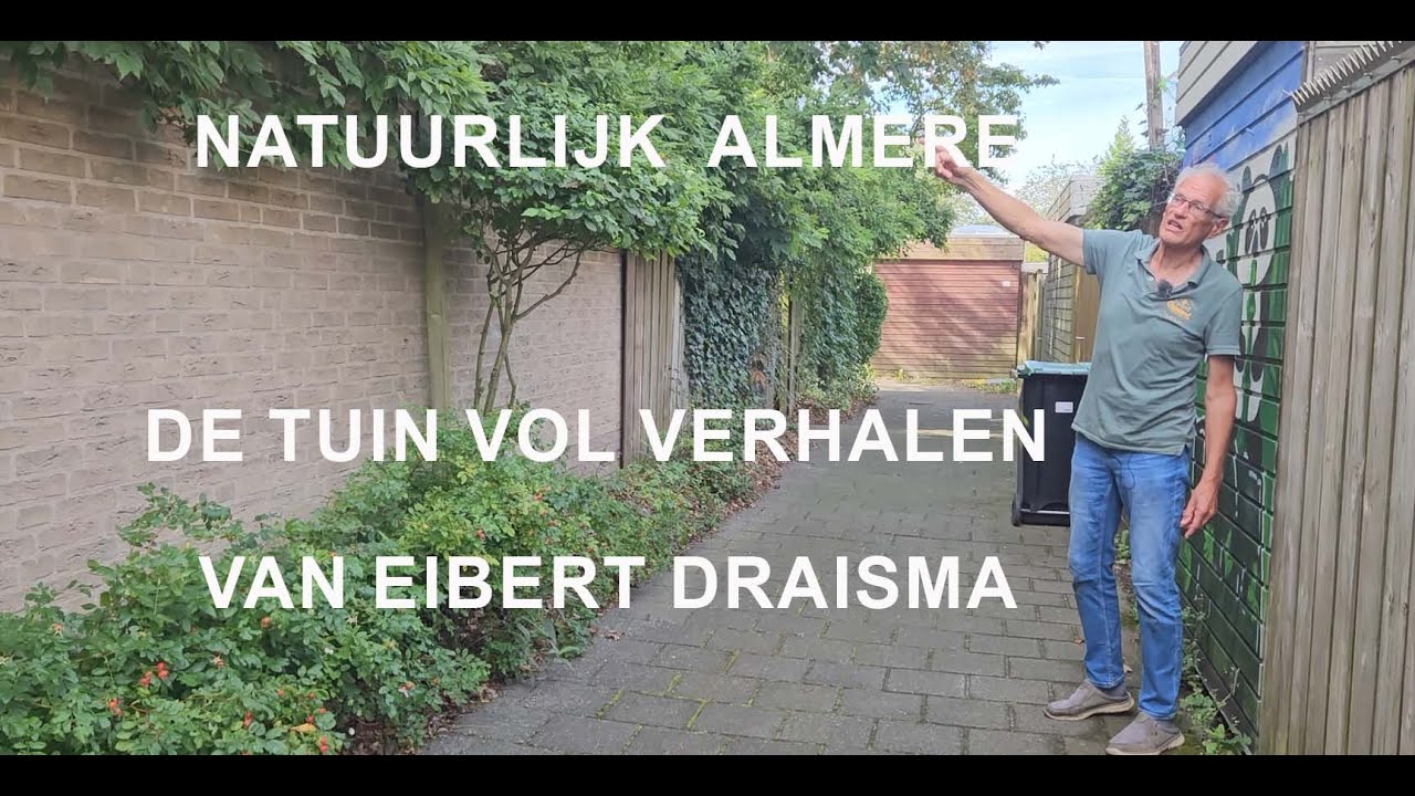 De vergroende tuin van Eibert Draisma in de Kruidenwijk: 10 airco's en een wadi. (4 september 2023)