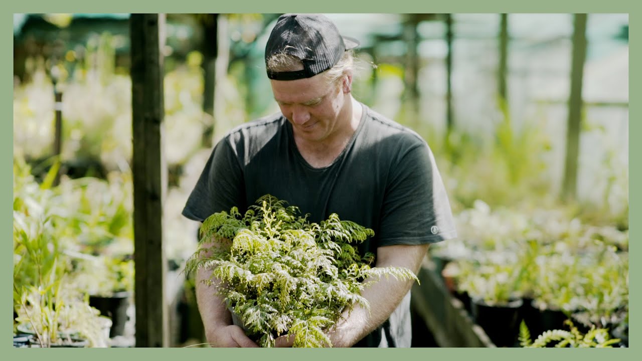 Living in the Fifth Dimension | Piha Native Seedling Nursery | Ep 26