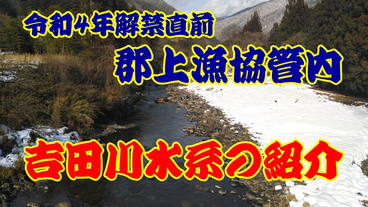 郡上漁協解禁直前！吉田川水系をご紹介！郡上八幡～明宝まで