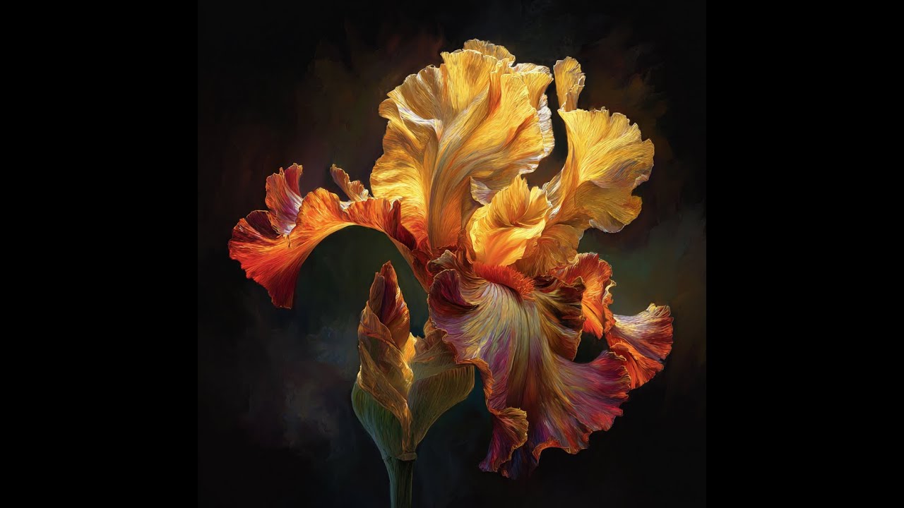 FAS - Movies presents ( The Dance of Color in Abstract Floral Art )