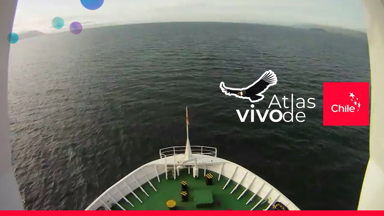 Chile en movimiento: un viaje de Arica a Punta Arenas | Atlas Vivo de Chile