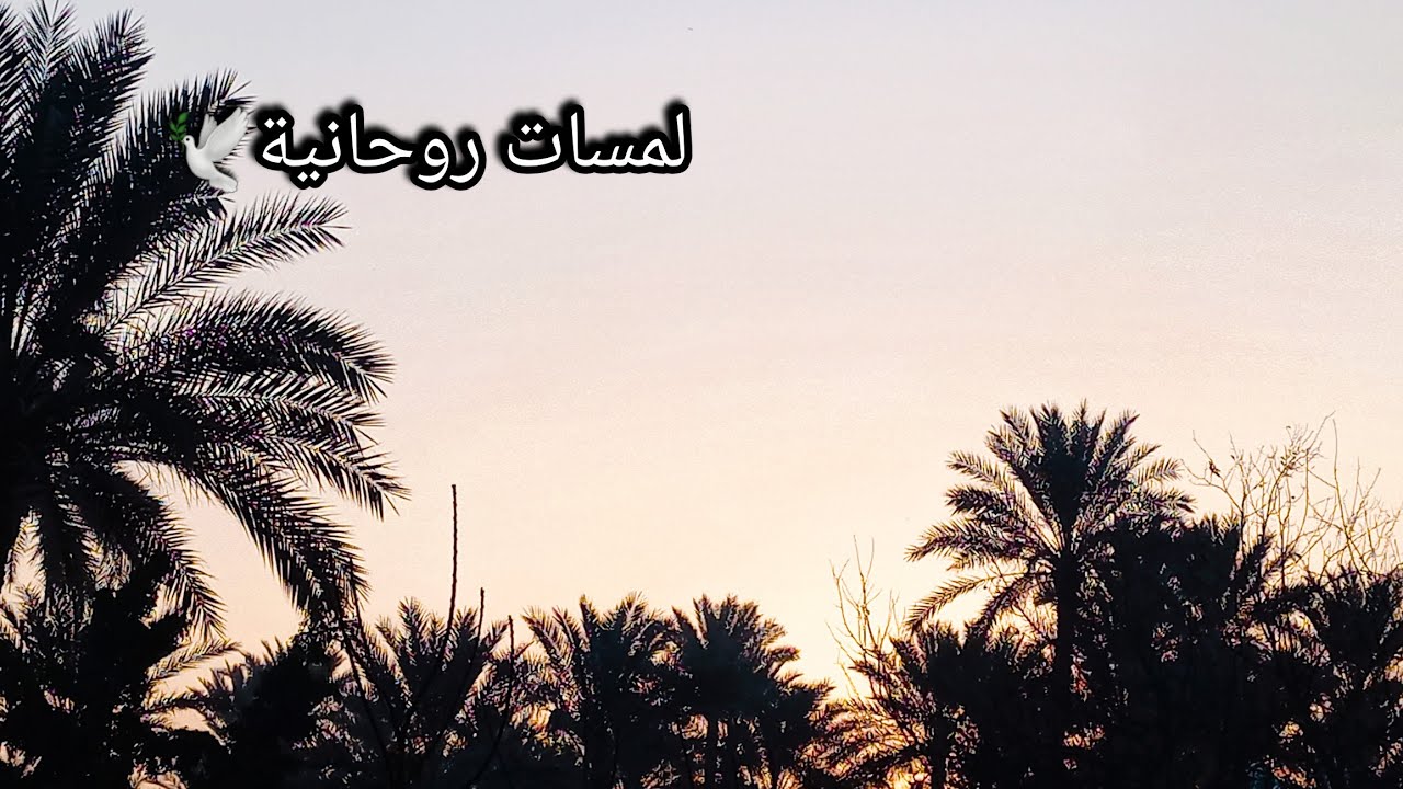 اختر كرت 💌 رسالة هامة لازم تسمعها دلوقتي حالا⛔️ رسائل الملائكة 🕊 ليك بشأن حياتك 🌍✉️