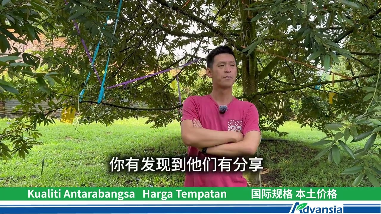 🌸 花不开？花少？一直变“鸡脚”？原因比你想的更简单！🔥