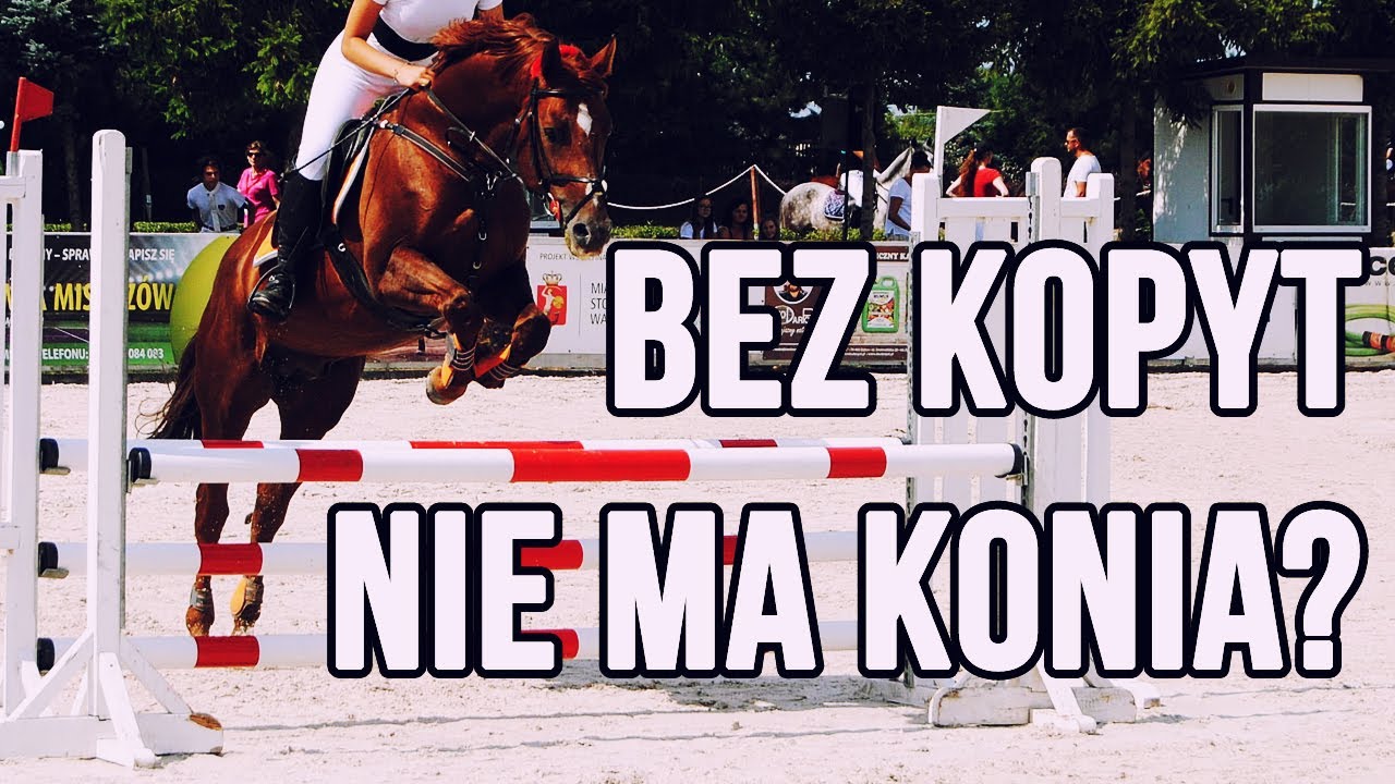 BUDOWA KOPYTA