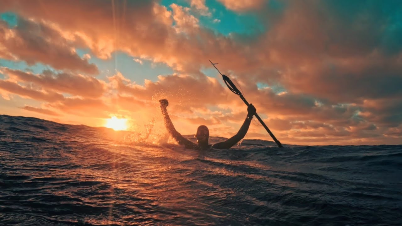 Spearfishing Struisbaai South Africa