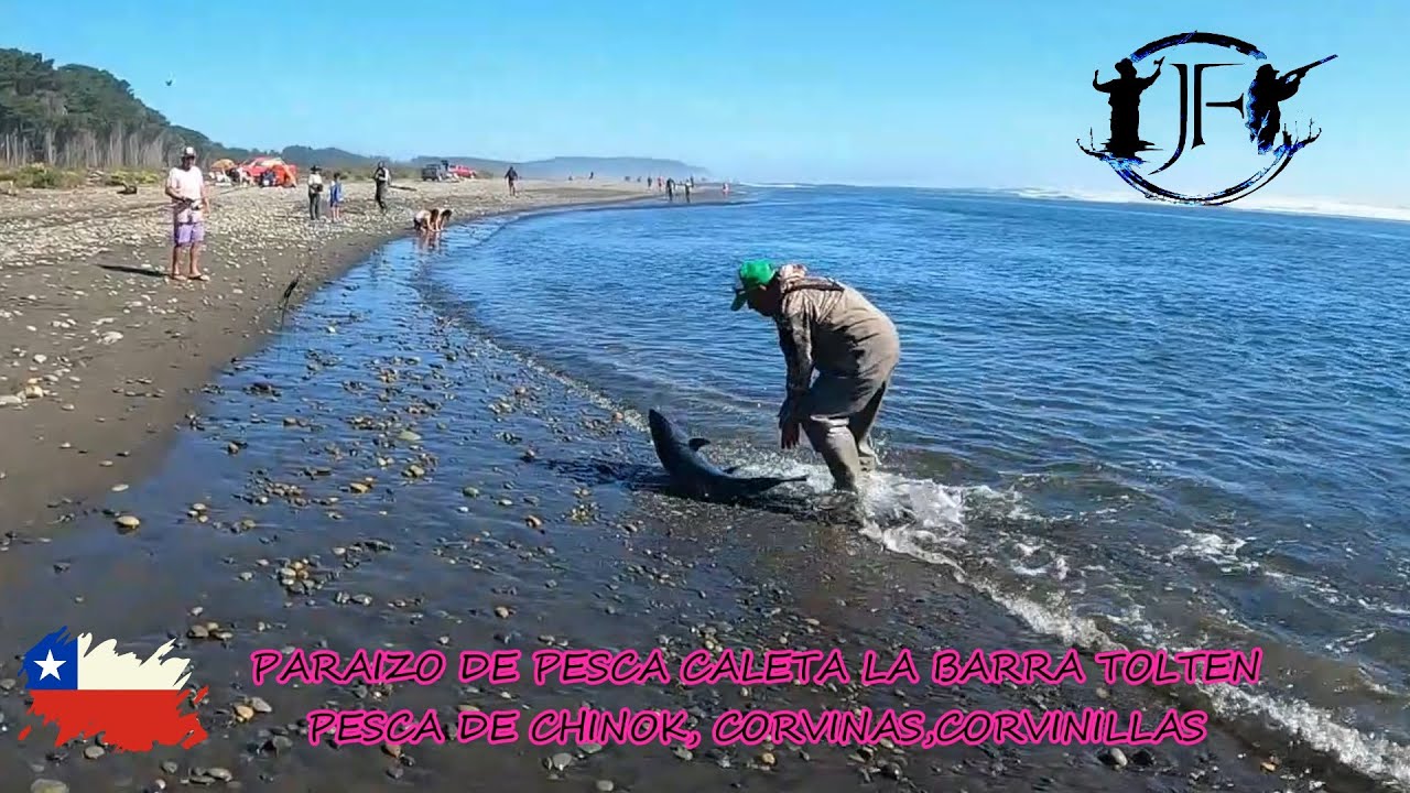 PARAIZO DE PESCA CALETA LA BARRA TOLTEN PESCA DE CHINOK,CORVINAS,COVINILLAS
