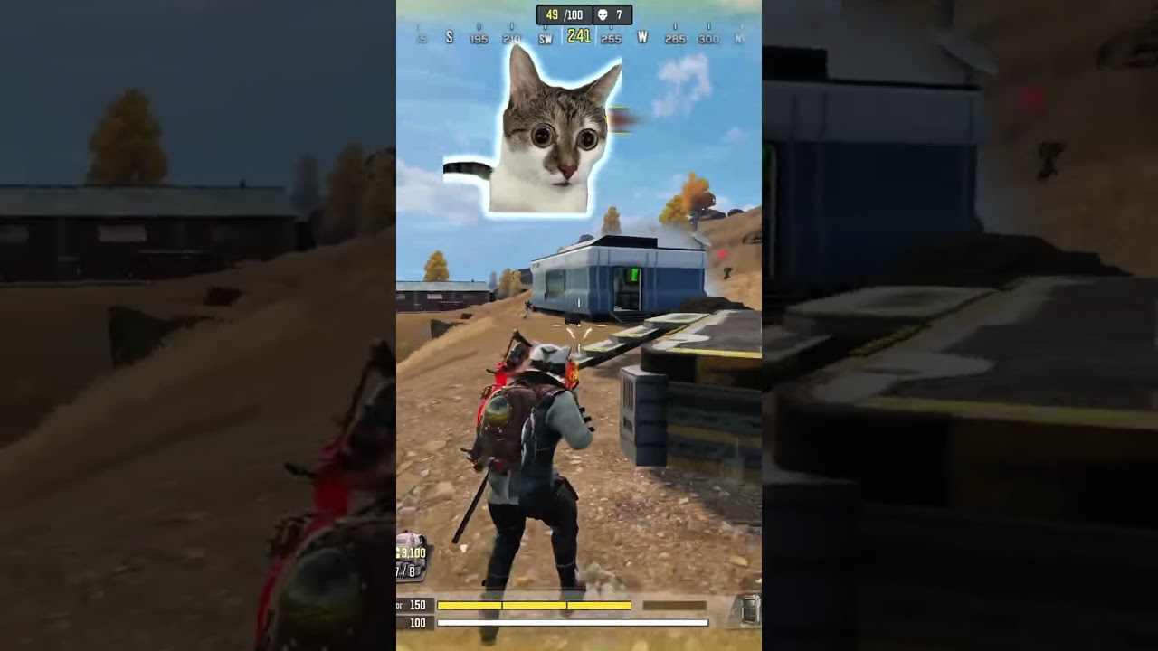 Meow got cooked by a camper #callofdutymobile #codmobile #codm 