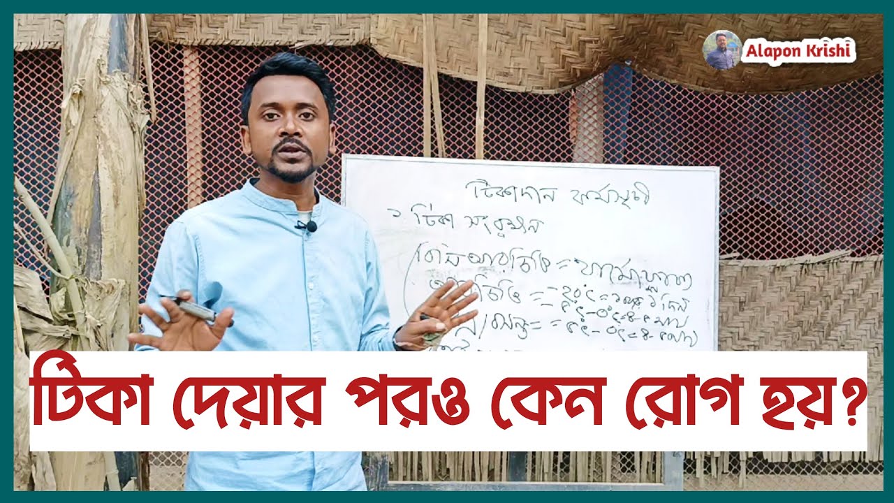 টিকা দেয়ার পরও কেন মুরগির রোগ হয়? Vaccine for Poultry Chicken