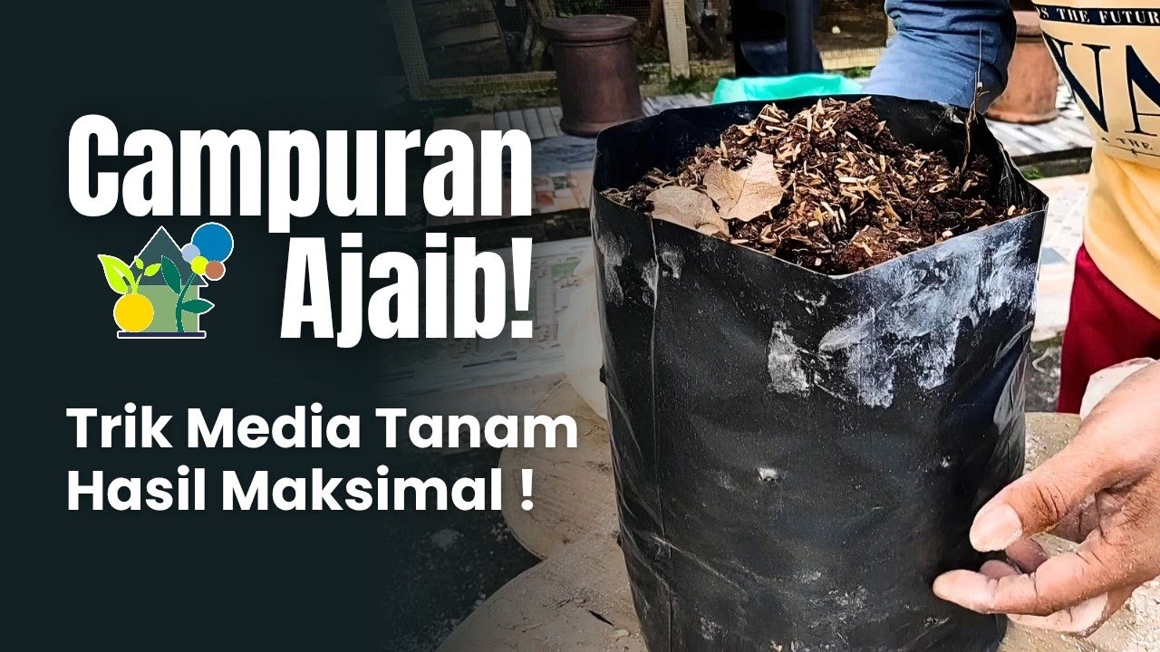 Campuran Ajaib! Trik Media Tanam dengan Hasil Maksimal