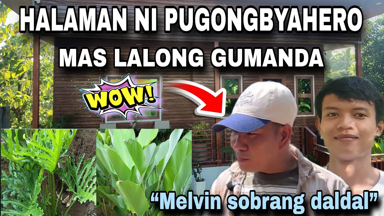 halaman sa pbhouse mas lalo pang gumanda@PugongByahero @CrisnaMahusay 
