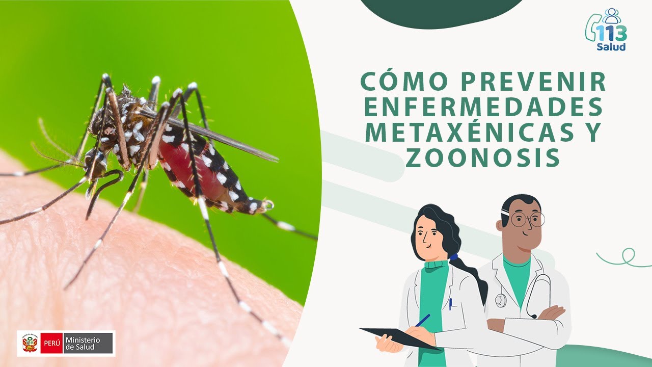 Cómo prevenir enfermedades Metaxénicas y Zoonosis