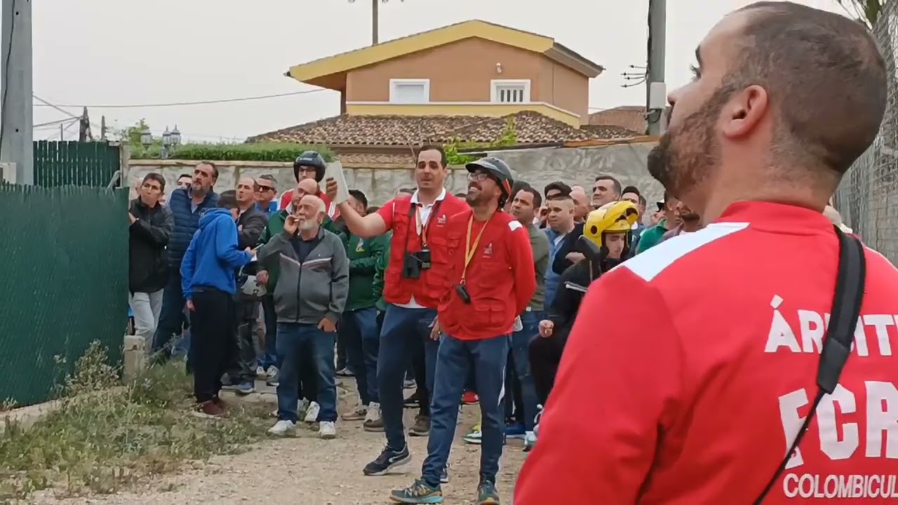 1°Prb.71°Campeonato Regional De Murcia Palomos Deportivos (El Esparragal )🕊️ Mg Gobernanta H.Bisitos