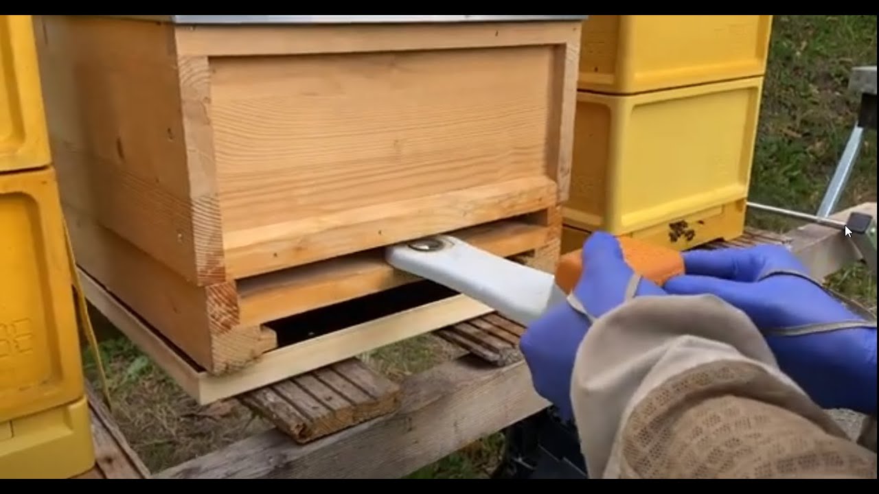 VARROX EDDY Instructievideo - Draagbare oxaalzuurverdamper - Andermatt NL (met NL ondertiteling)