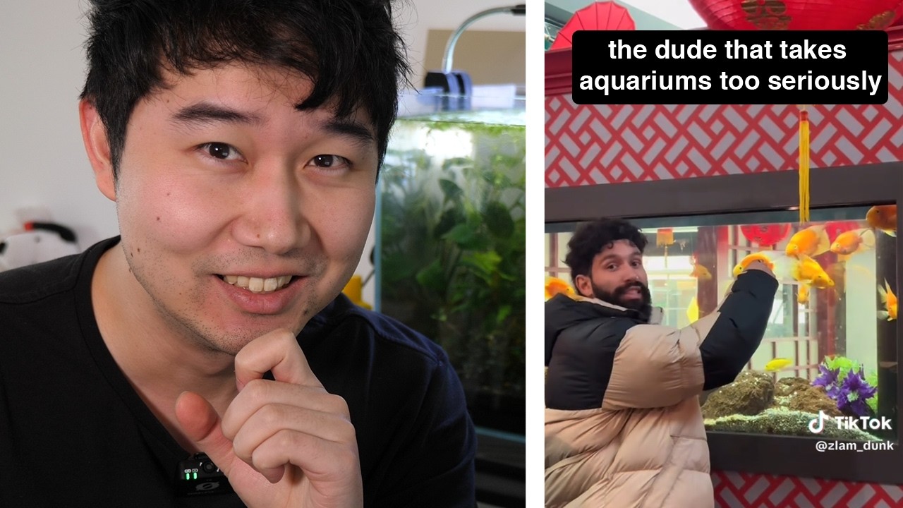 When you take Fish Tanks TOO SERIOUSLY | Fish Tank Review 295