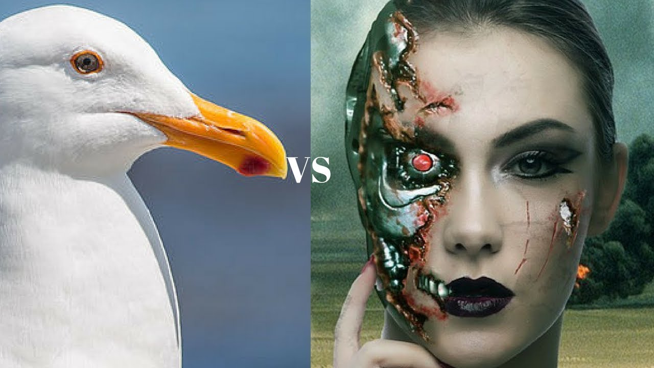 Leela Chess 10171 demonstrates a stunning theoretical novelty within Ruy Lopez Open - vs Gull