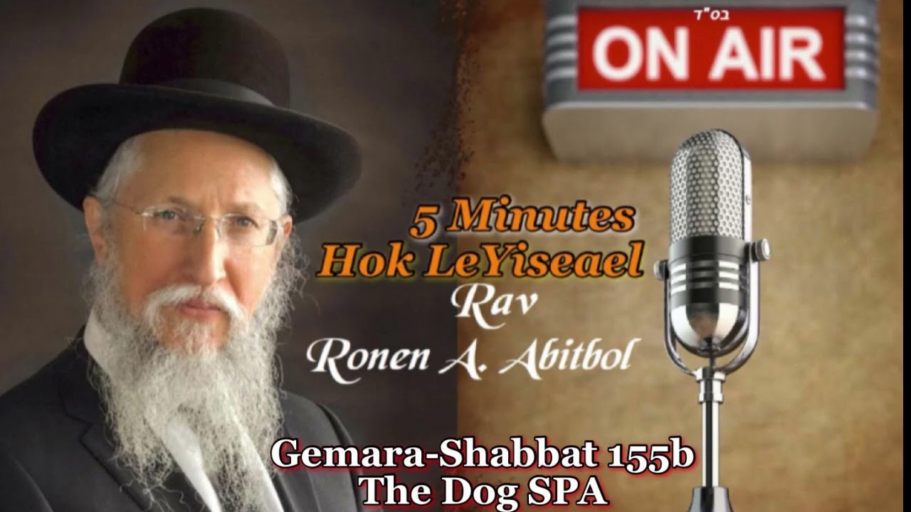 Gemara - Shabbat 155b - The Dog SPA