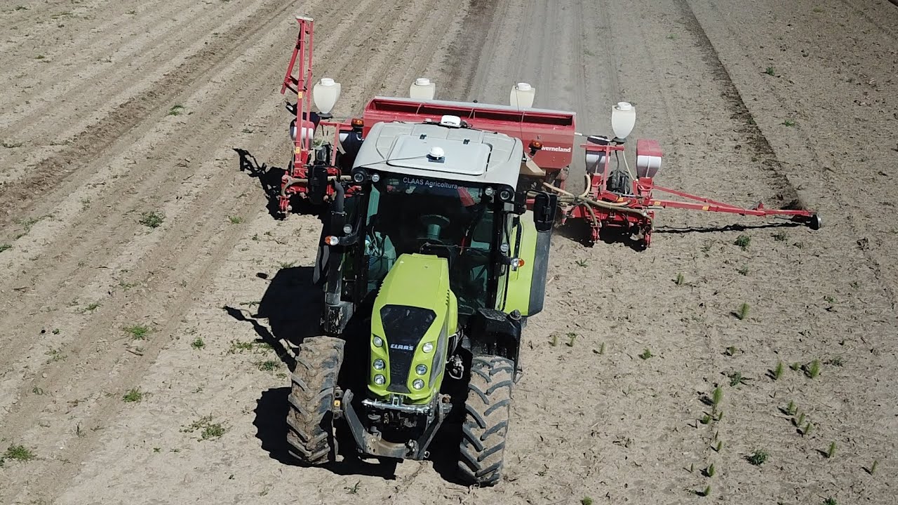 Claas Arion 460 | Kverneland Optima TF Profi | Semina mais 2024
