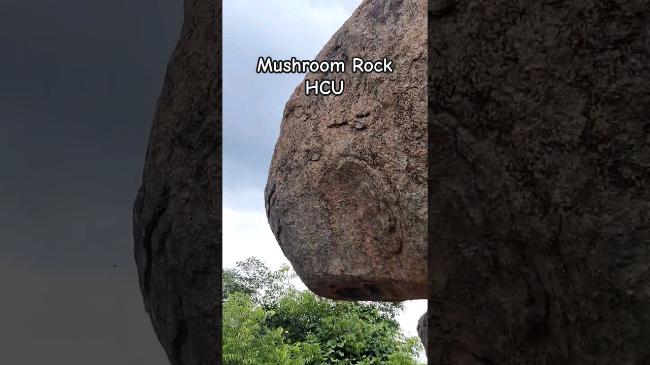 Mushroom Rock HCU #hcu #jankisonatuddu #mascaramoves