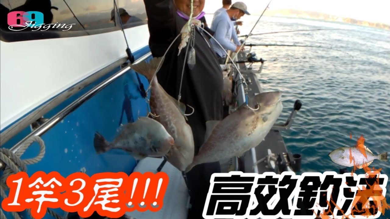 [船釣路亞]  好吃的剝皮魚又來了,快速攻略大公開,哇...這樣釣好快 2021/11/ 台灣69J釣魚俱樂部(69J Fishing Club)