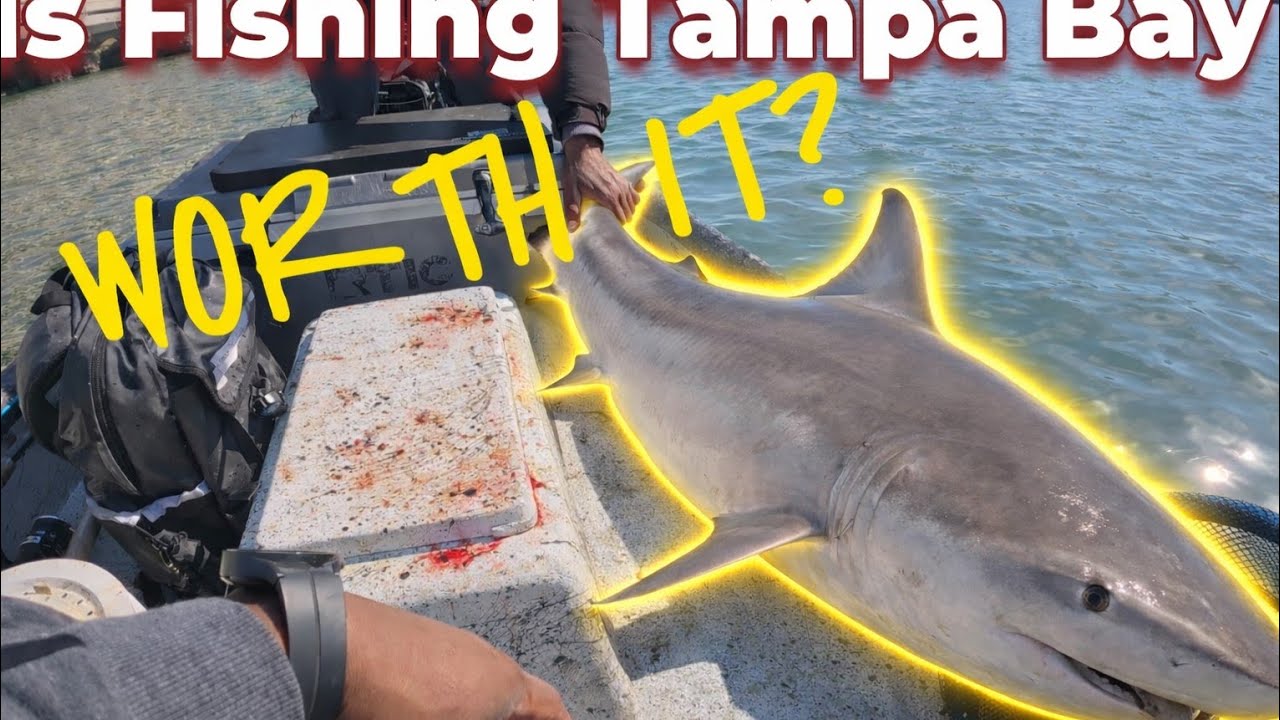 The SHARKS were everywhere, so we decided to have some fun with them #fishing #outdoors #trending 
