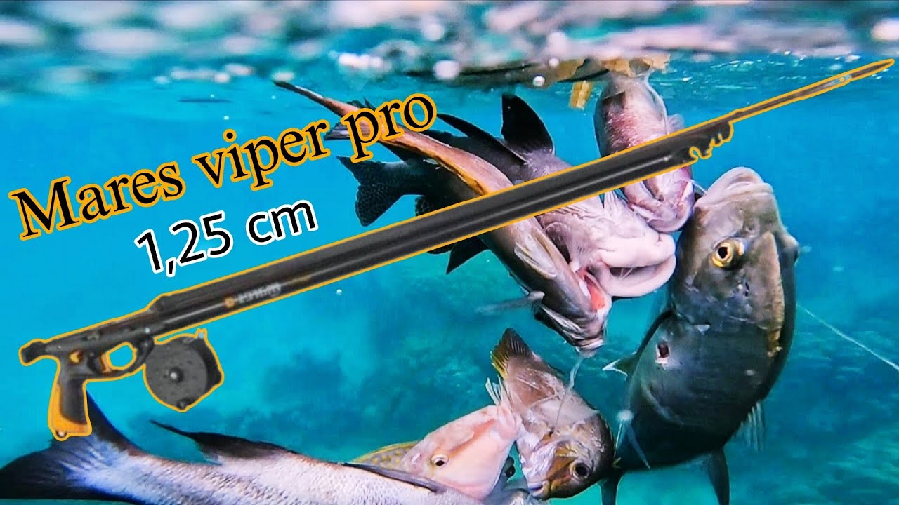 SPEARGUN MARES VIPER PRO 1,25 CM PAKAI 1 KARET IKAN GT TAK BERDAYA