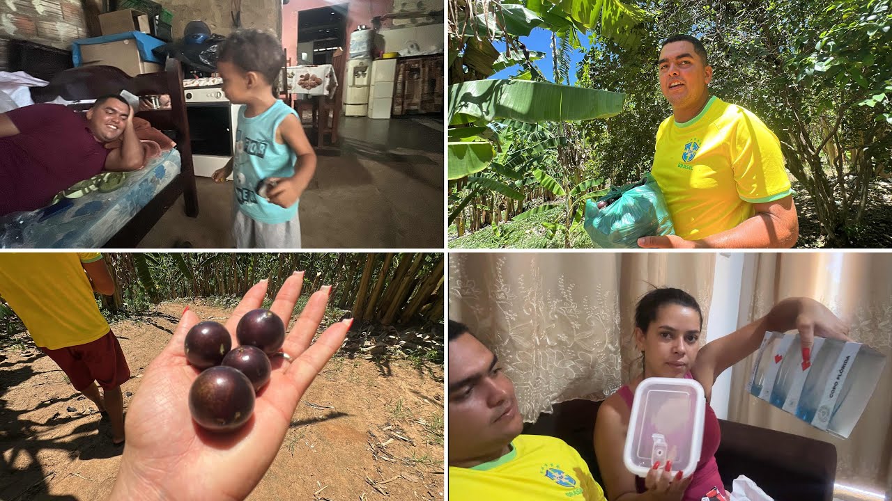 GANHAMOS PRESENTES DOS NOSSOS INSCRITOS🤩MARAVILHOSA COLHEITA DE JABUTICABA🤤LEVAMOS PRA O DONO DO BAR