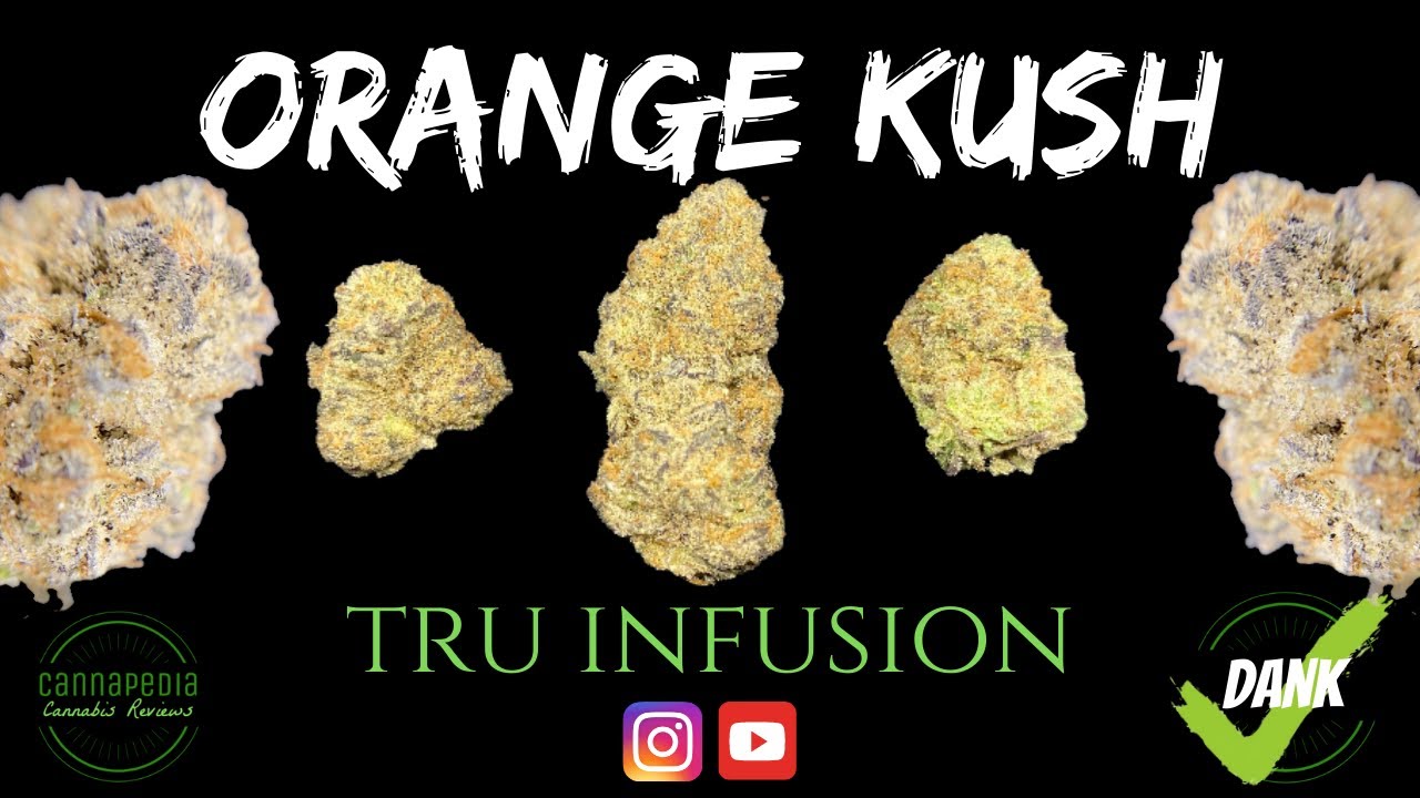 Orange Kush Strain Review - Tru Infusion - Cannapedia