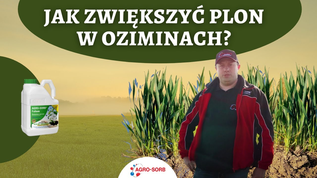 Zwiększenie plonu ozimin | Jak stosować Agro-Sorb Folium w oziminach | Uprawa pszenicy ozimej|