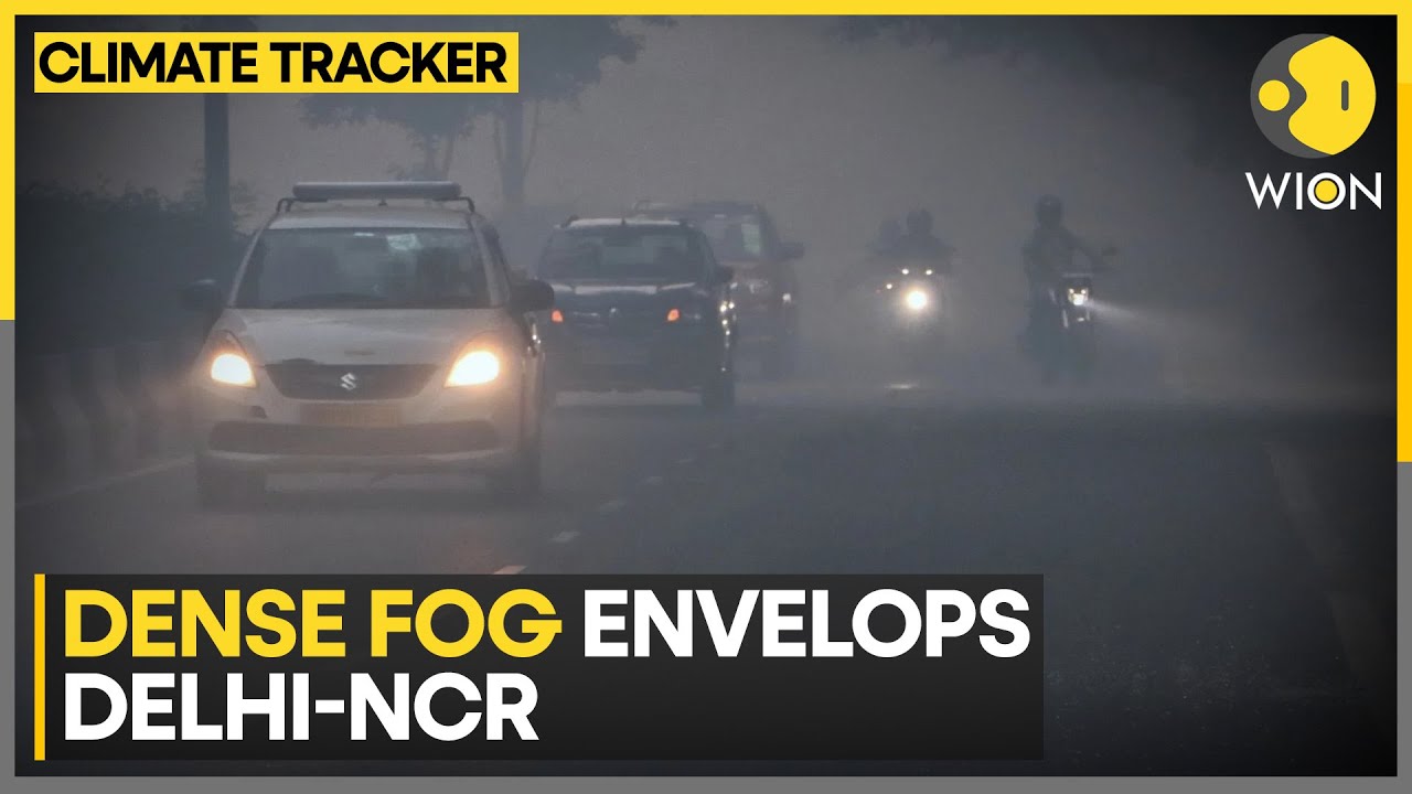 India Weather Forecast: Rainy Week Ahead For North And South India | WION Climate Tracker
