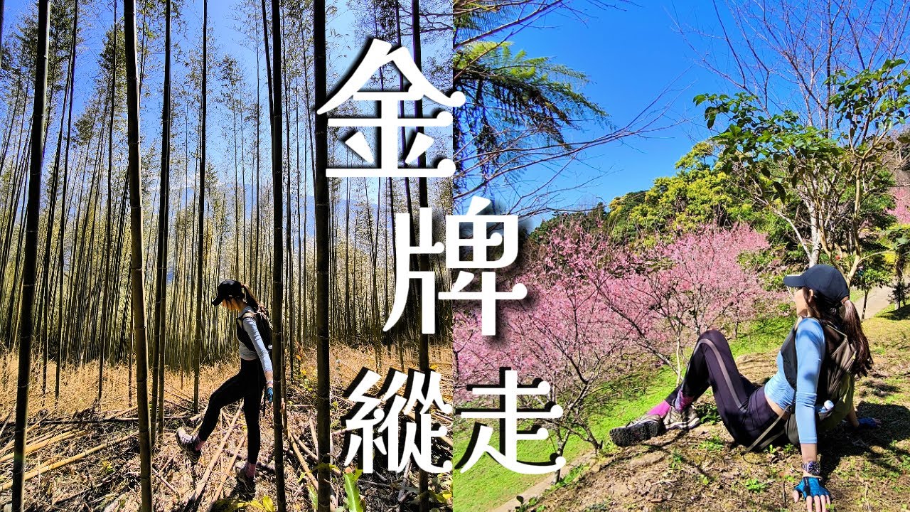 【金牌縱走】🎍夢幻竹林‧媲美水社大山🌸櫻花坡🦇蝙蝠洞•觀音洞瀑布｜豐富美景｜金平山、金平山南峰、牌子山三座山峰