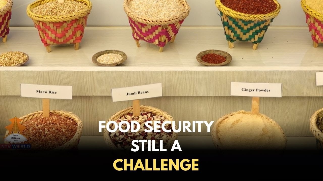 Food Security : Still a Major Challenge in Nepal #NtvWorld #nepal #psbnepal #NTV