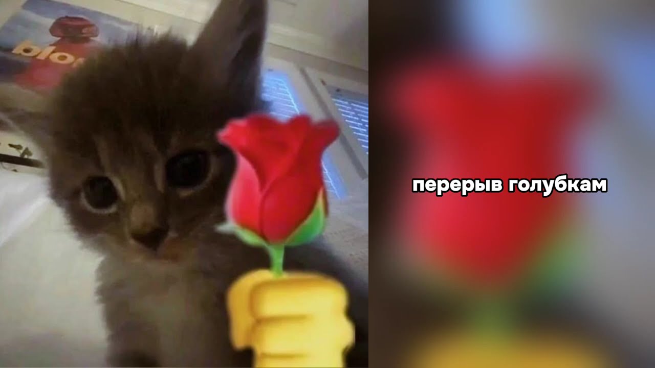 Реакция фф «Если ты в пекло, я за тобой» на Натаниэля/Тик-ток || 2/2 ||
