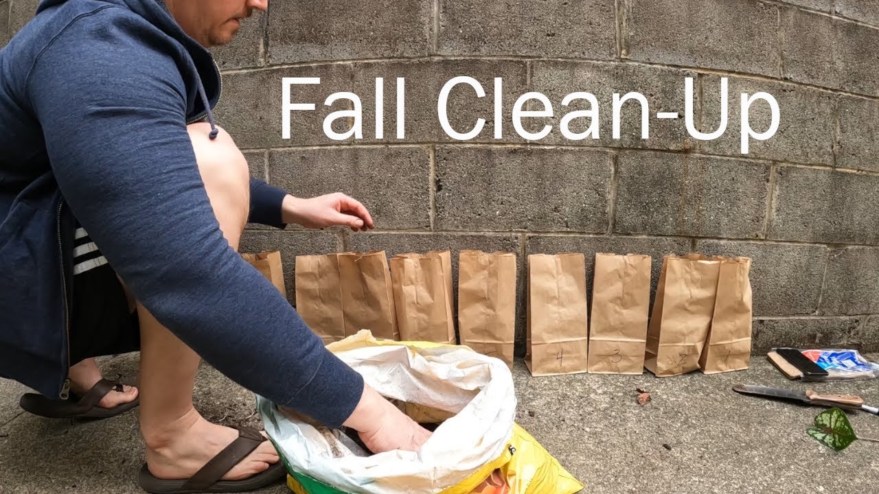 Fall Clean-up | Urban Gardening