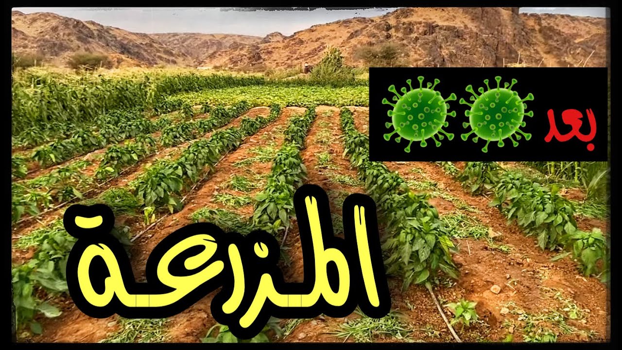 فلوق مزرعتنا السعيدة #البرزة