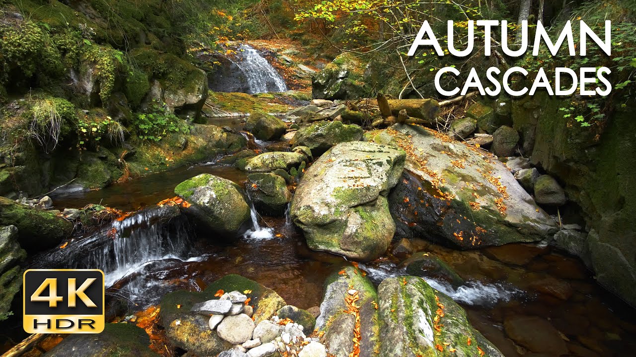 4K HDR Autumn Cascades - Forest Stream - Water Flowing Sounds - Natural White Noise - Sleep / Relax