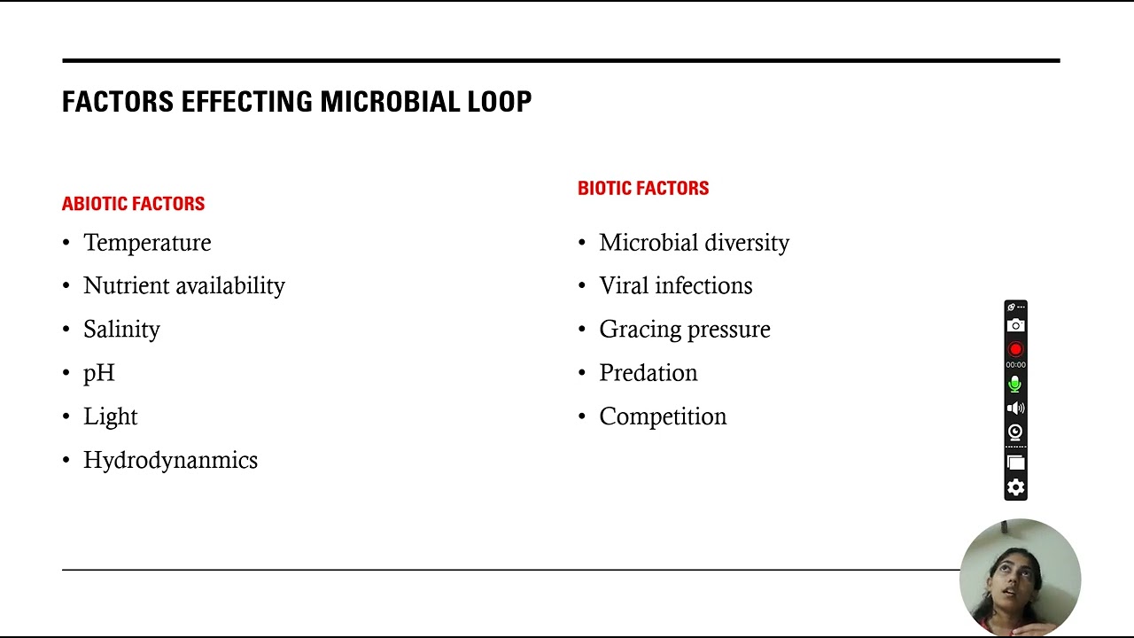 Microbial loop- CHETHANA K A