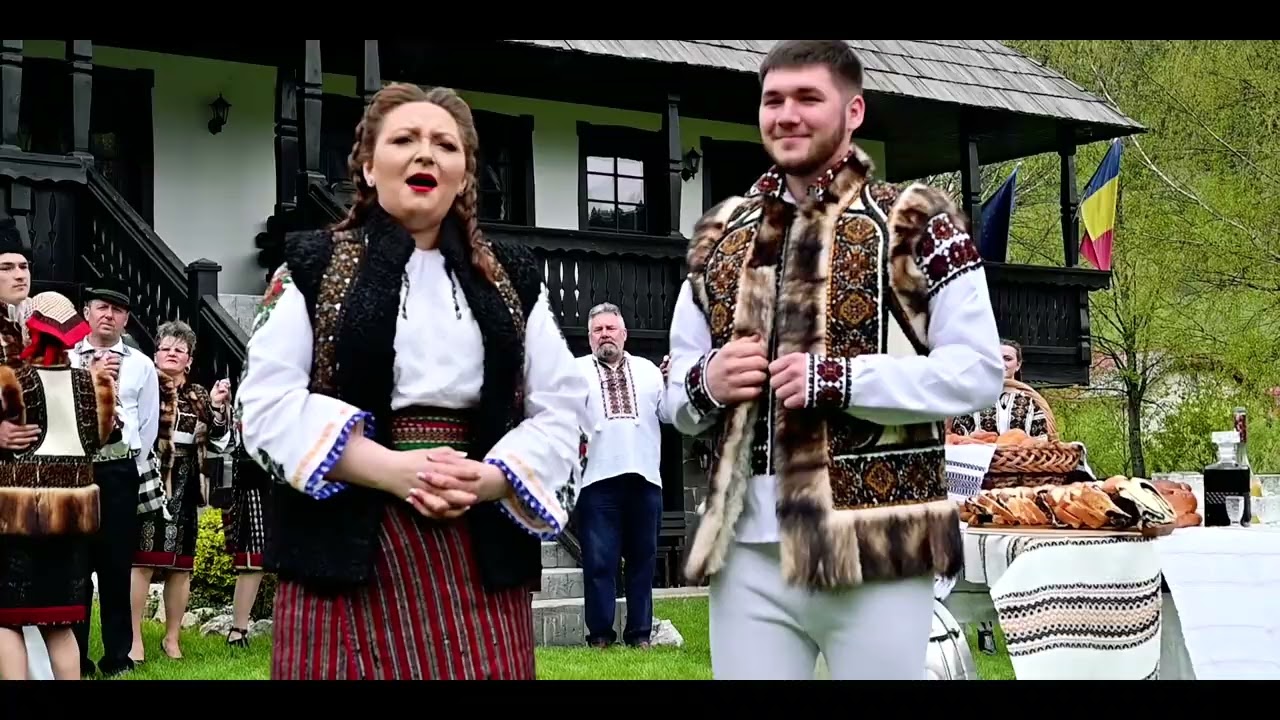 Ana Maria Velecico - Uite acolo stau huțanii
