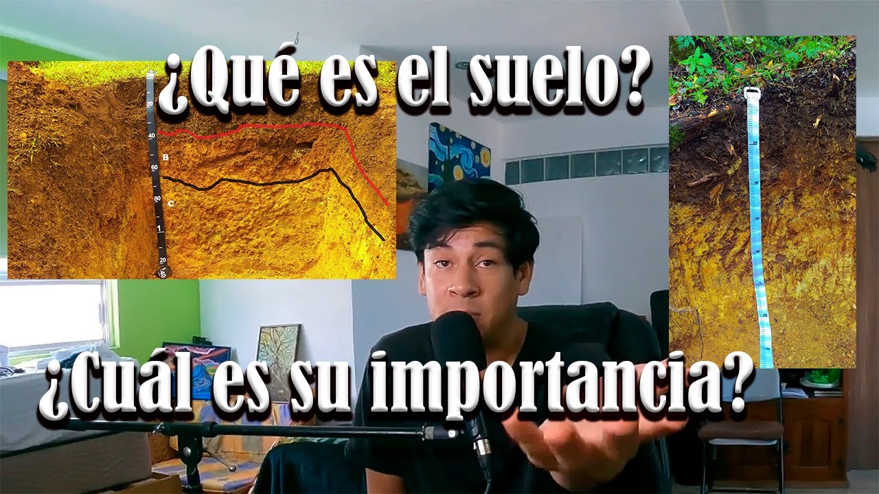 &iquest;Qu&eacute; es el suelo y cu&aacute;l es su importancia? (Introducci&oacute;n a las Ciencias del Suelo)