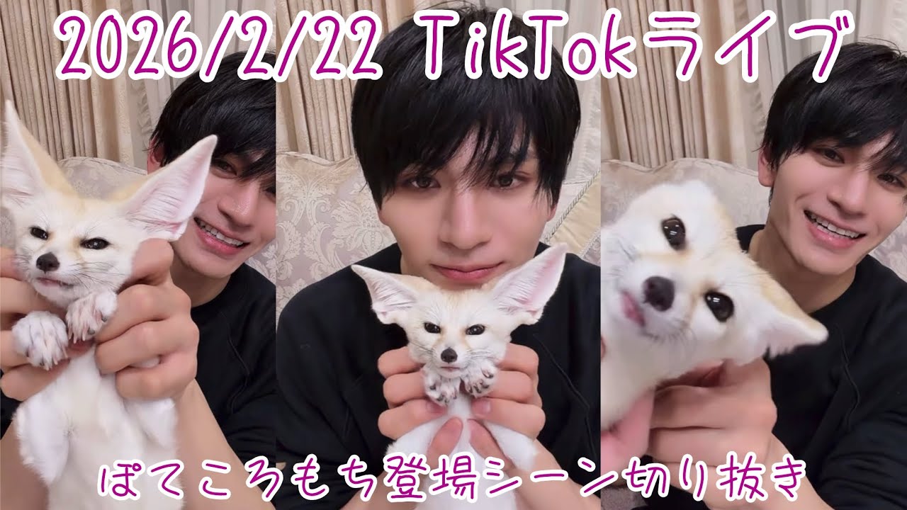 MATSURI鈴木渉TikTokライブ2026/2/22💙フェネックちゃんとわたるくん💜