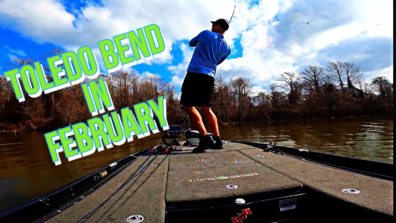 February Bass Fishing Toledo Bend