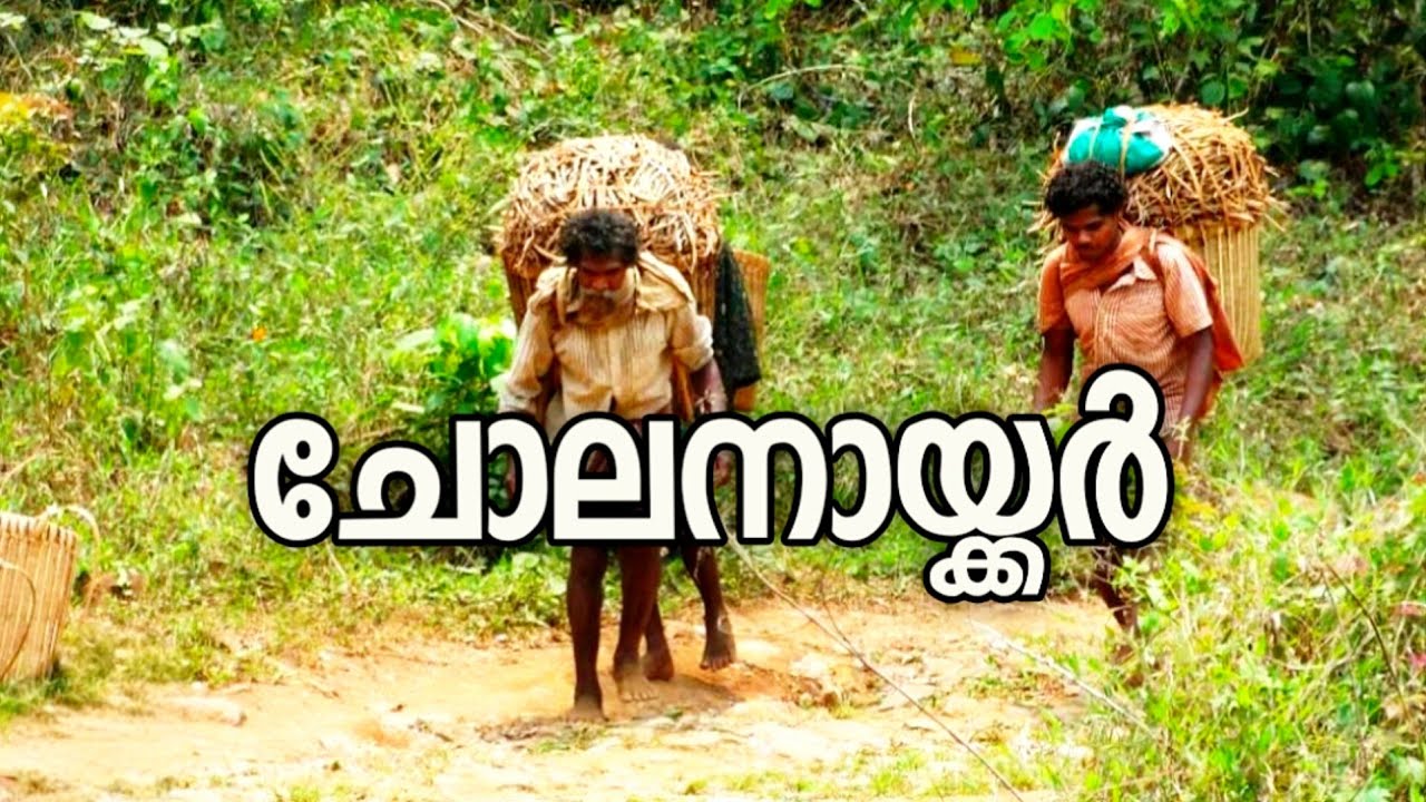 ചോലനായ്ക്കർ||Tribel mission Pathanamthitta 