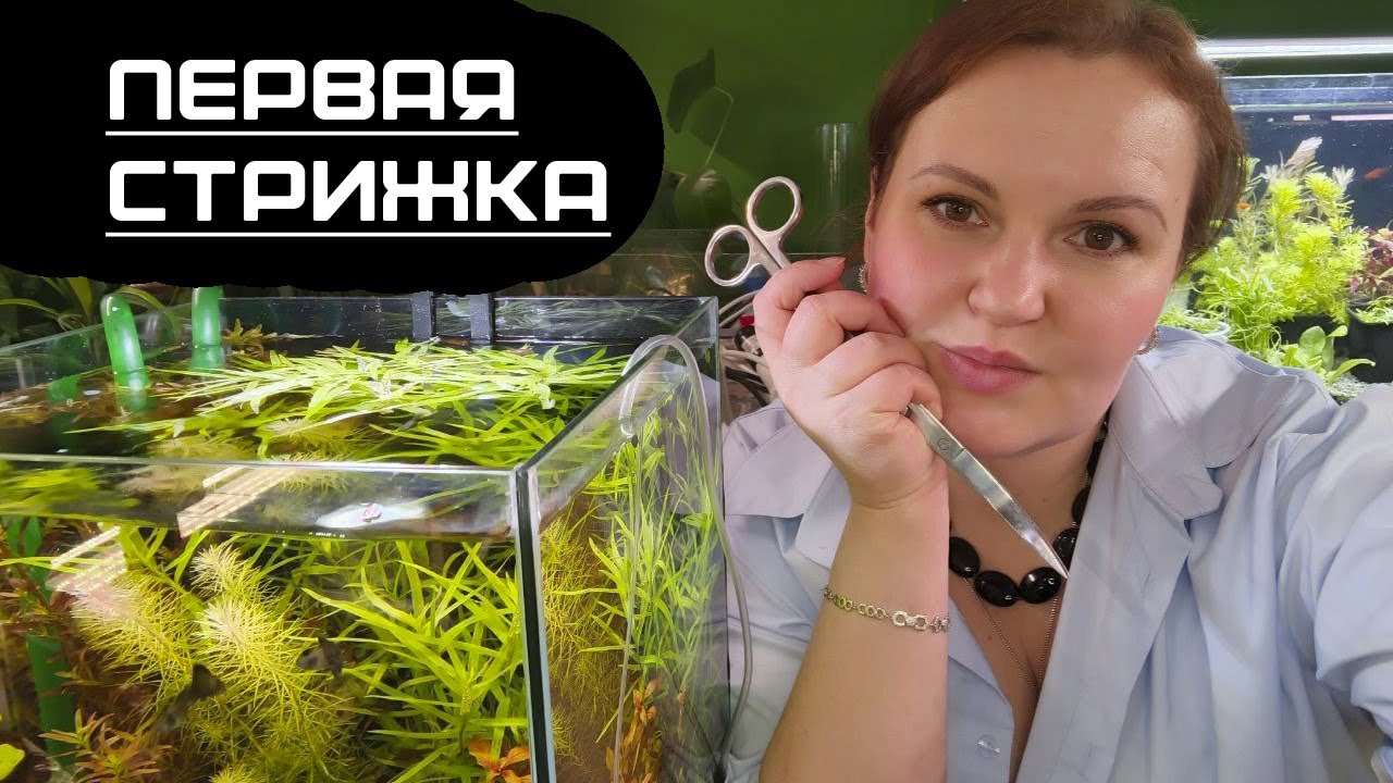 Обслуживание нано травника. Решающий год. 7 серия.